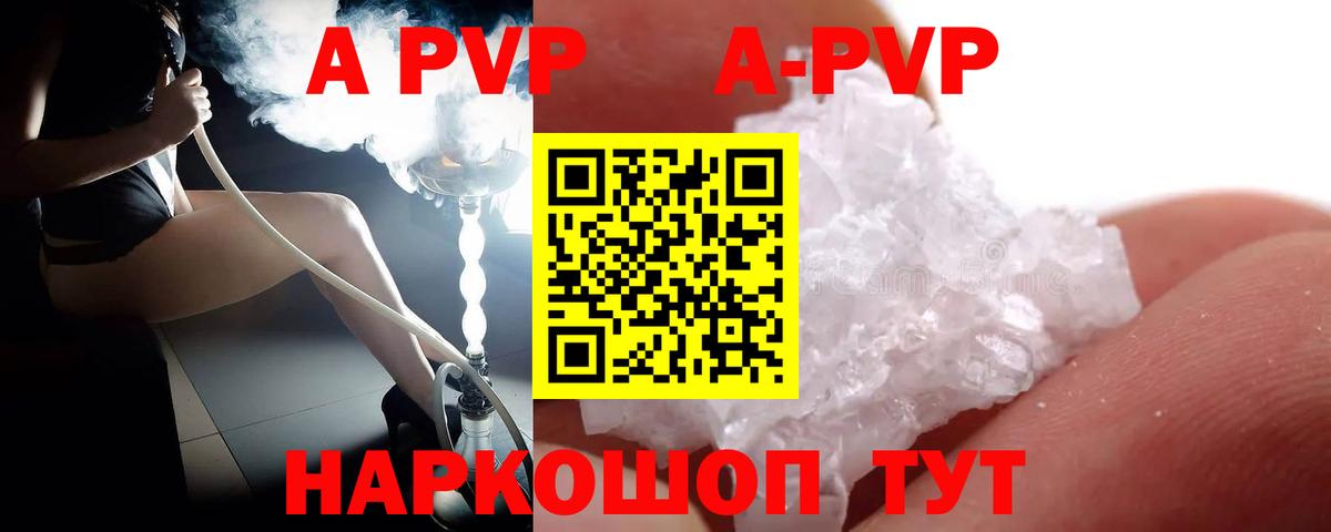 Альфа ПВП СК Вышний Волочёк