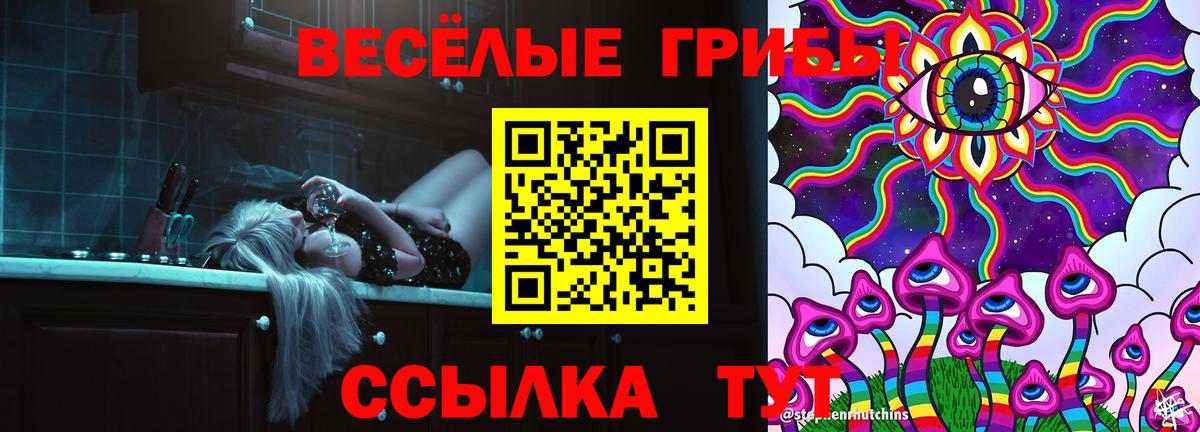 Вышний Волочёк  Псилоцибиновые грибы ЛСД  Вход с VPN 